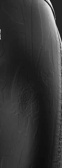 Screenshot_19