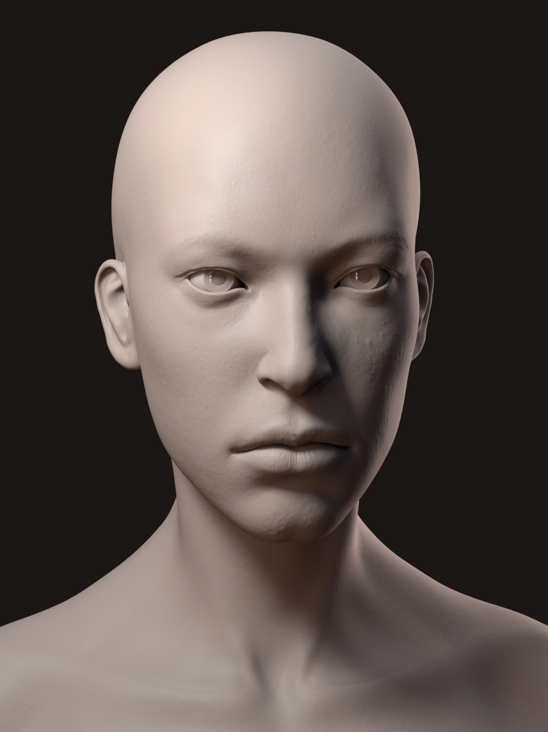 FaceRenderAdj_01.jpg