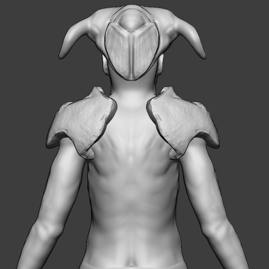 armor_concept_drag_02