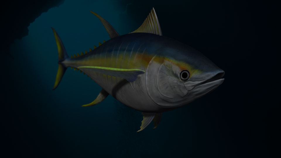 tunafish.jpg