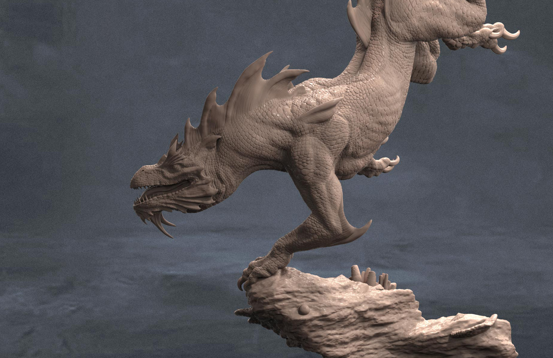 S_rathaless_detail_1.jpg