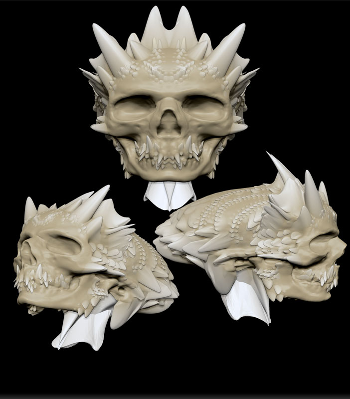 SCALED SKULL 1.jpg
