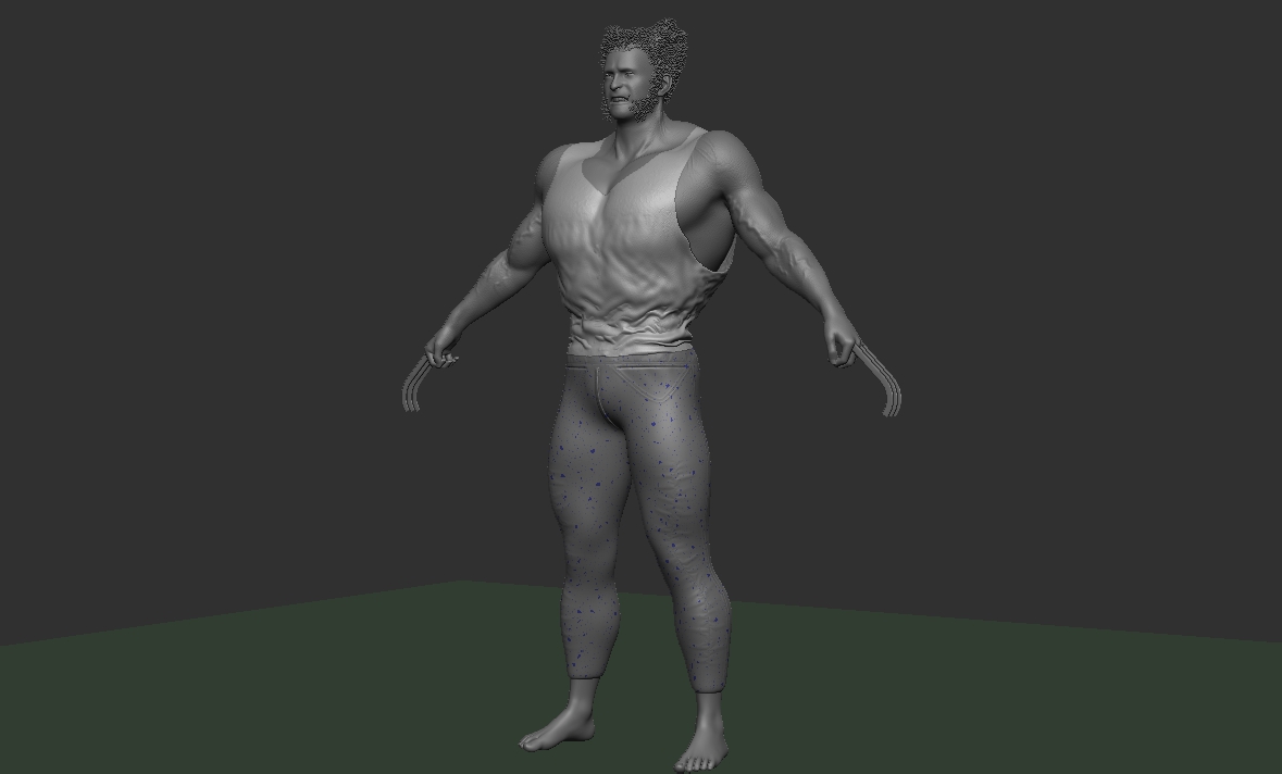 Wolverine grey