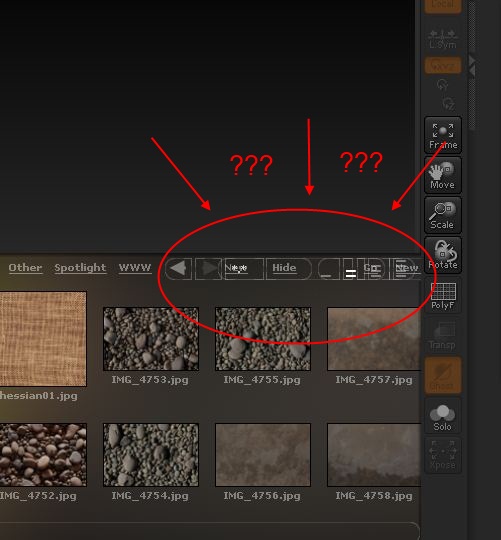 Zbr1.JPG