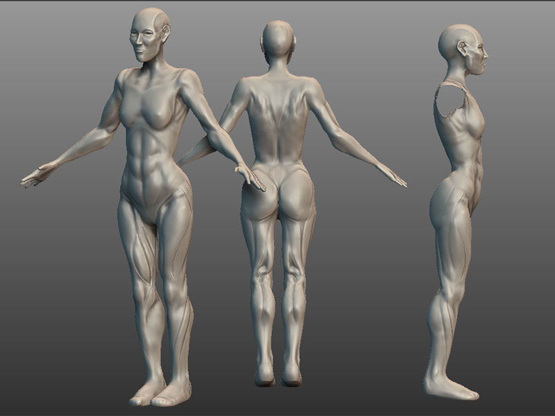 female_proportiontest.jpg