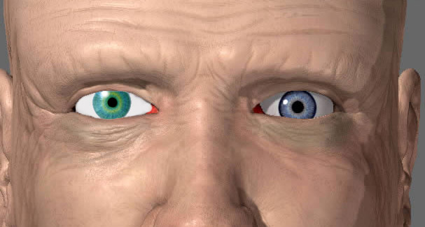 eye.jpg