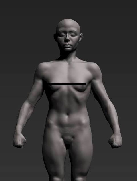 female_anatomy2.jpg