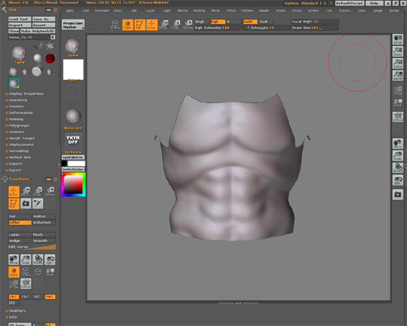 nin_torso.jpg