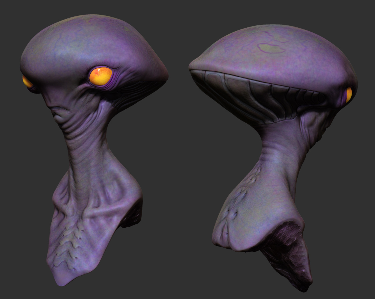 Pheadron-Color-Views.jpg