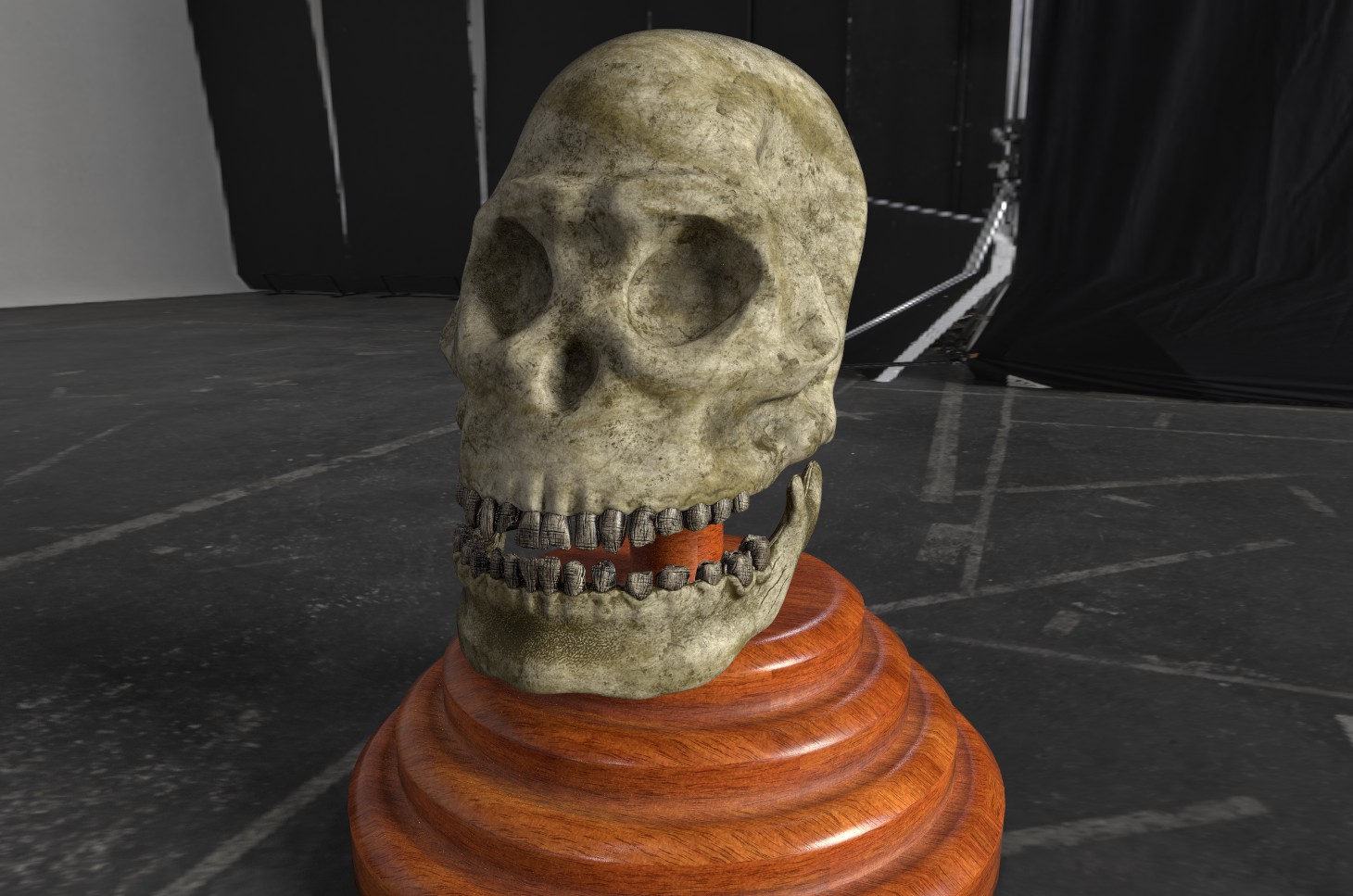 ape%20skull%201%20Sp