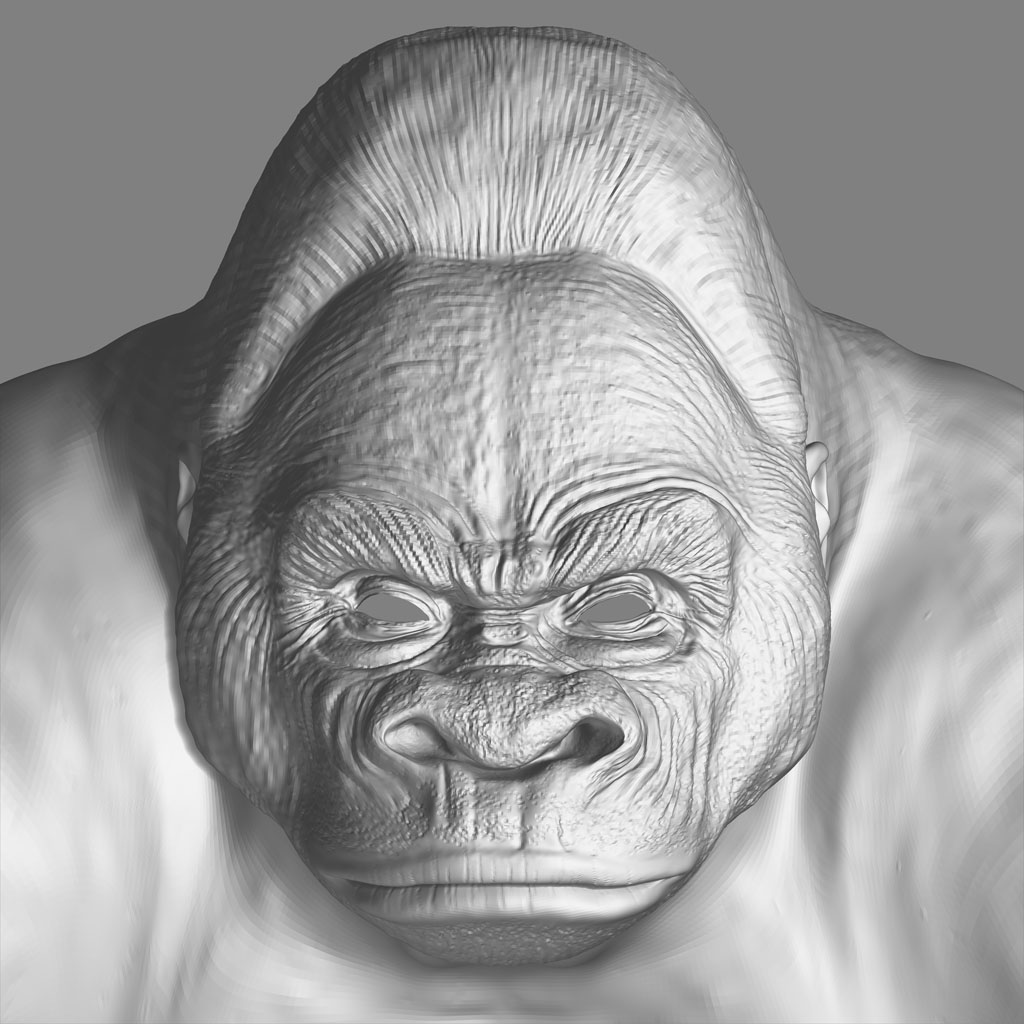 goriman_head_front.jpg