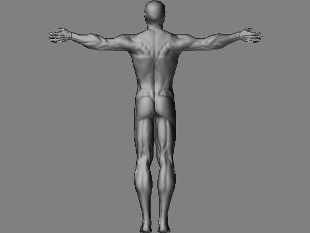 Back.jpg