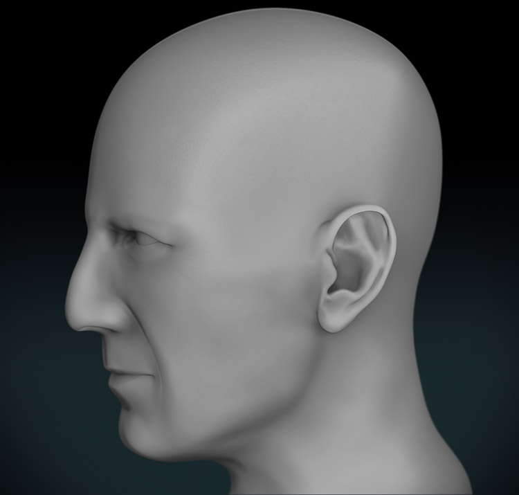 Male_Head_03_SideView.jpg