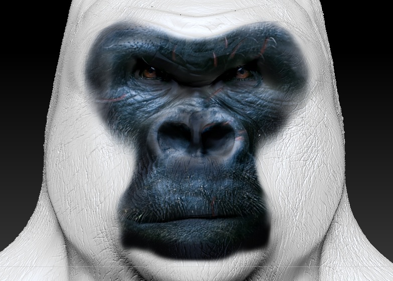 thrilla1.jpg