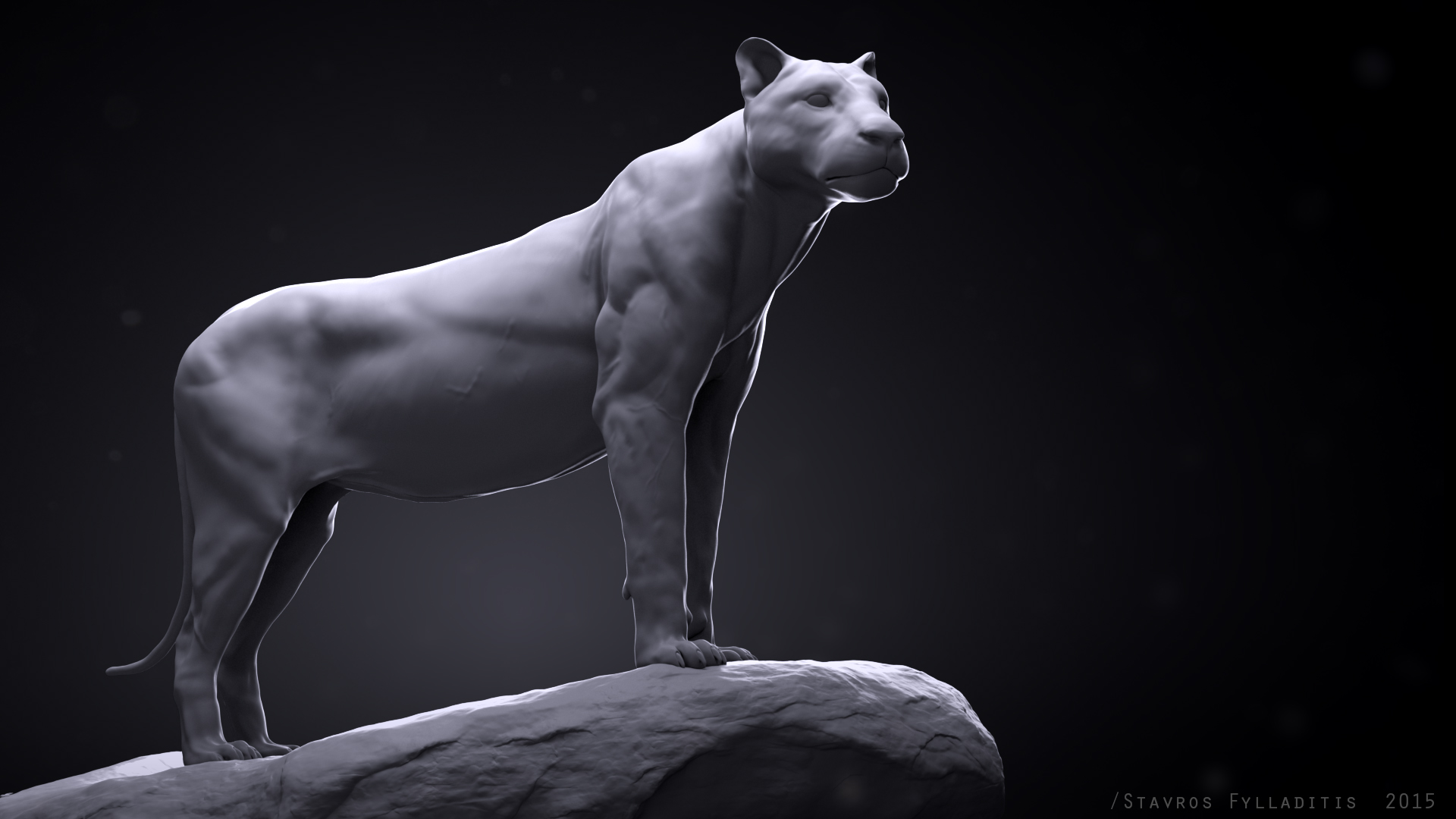 Lion_cam_01_post.jpg