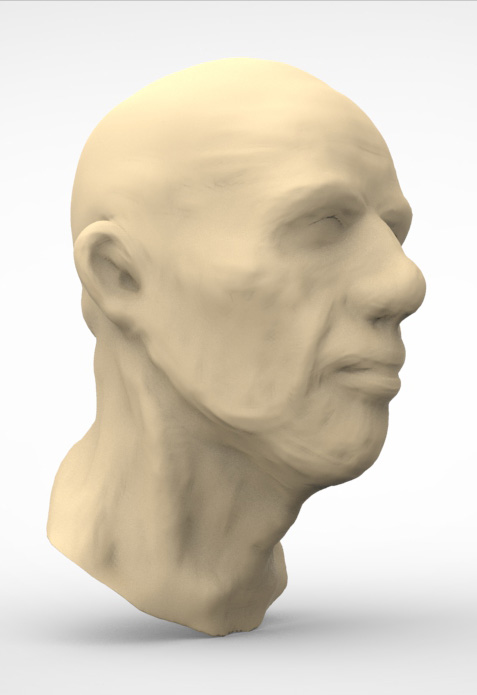 fasthead_b.jpg