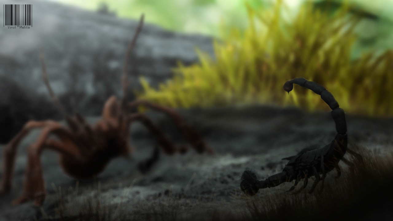 tarantula vs scorpion_sc2_.jpg