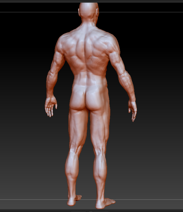 arc_body_back_1.jpg