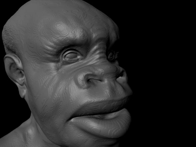 head.jpg