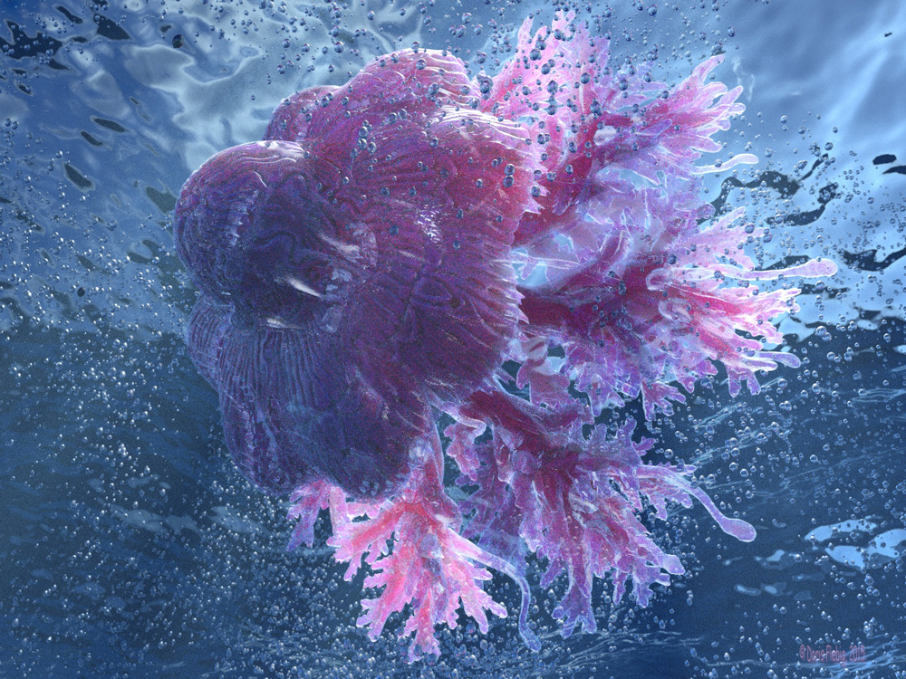 jellyfish_02_small.jpg