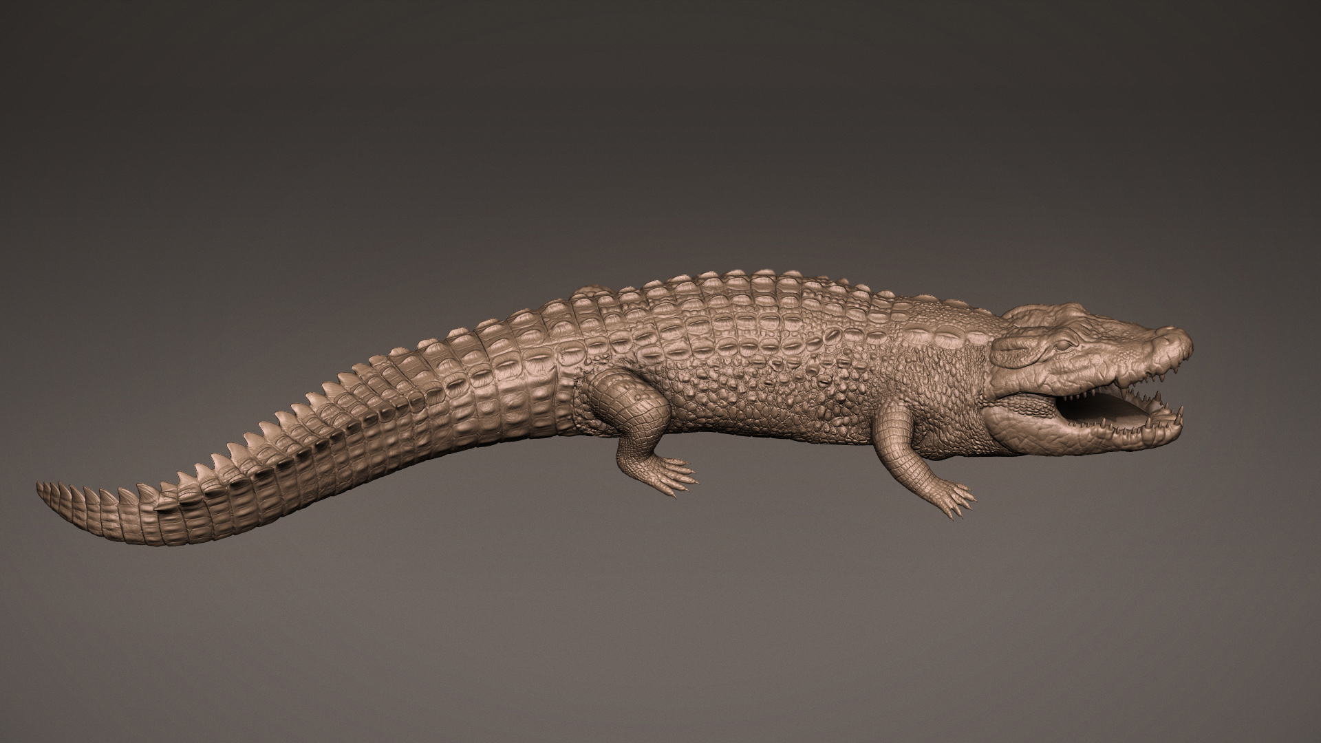 ivan-kocic-crocodilepresentation-side-1.jpg