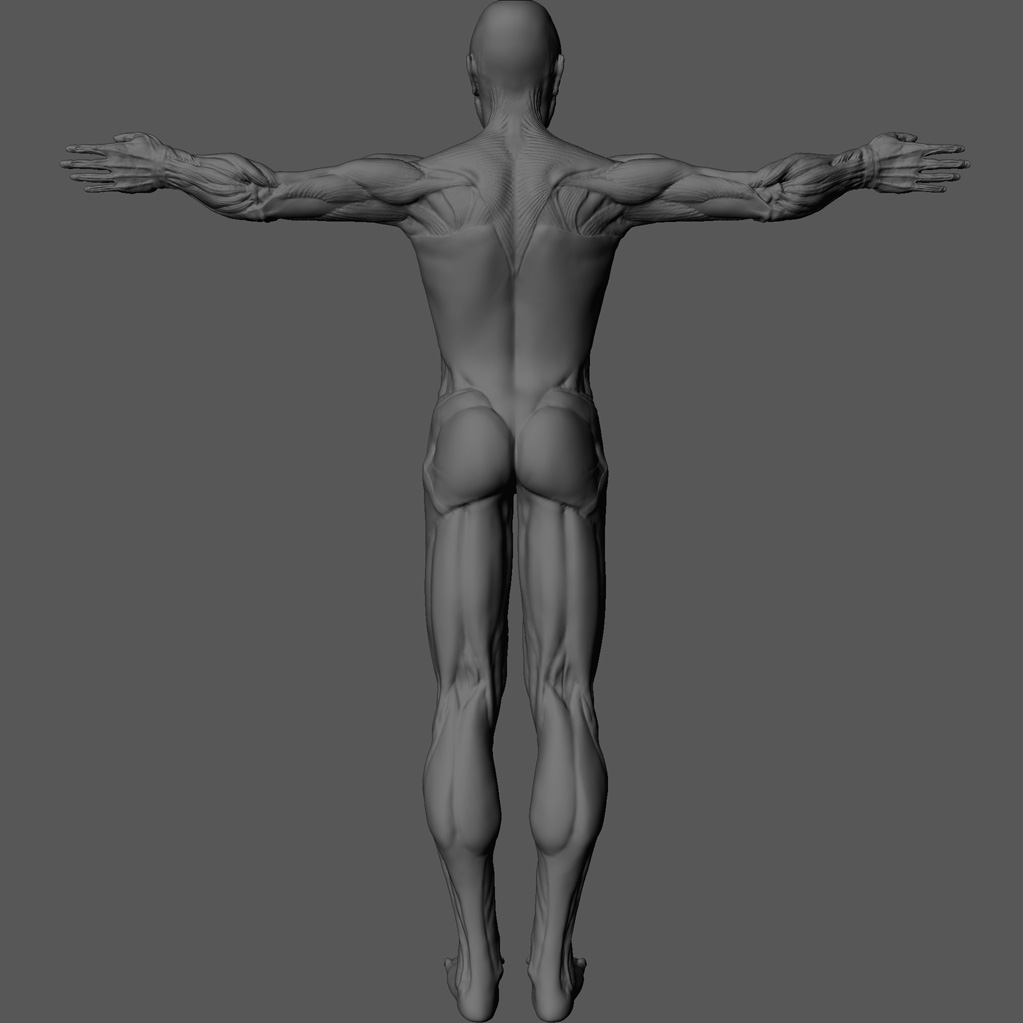04back.jpg