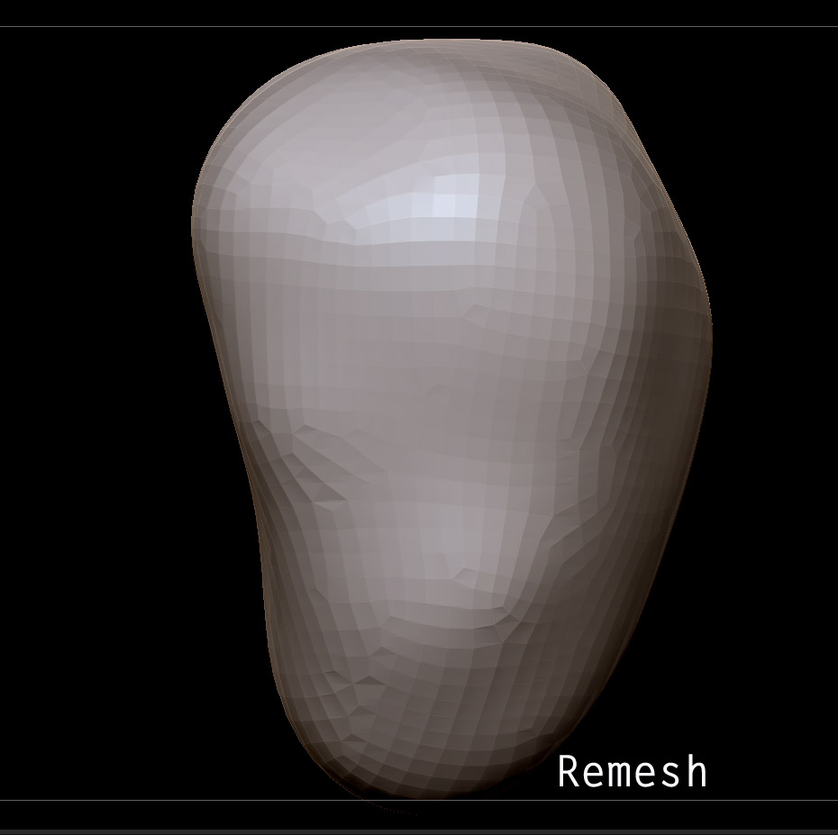 remesh.jpg