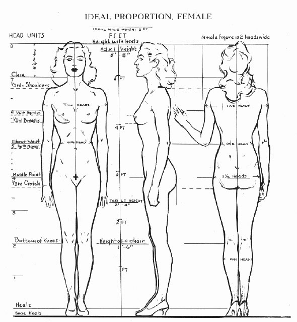 loomis_FIGURE_draw-20.jpg