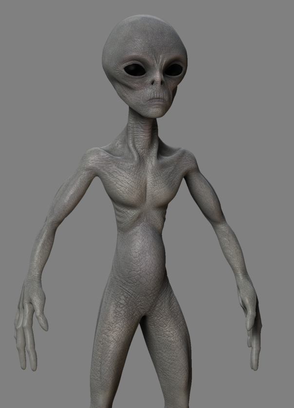 Wip10.JPG