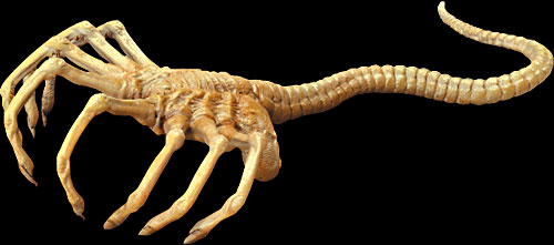 alienvol1_hugger.jpg