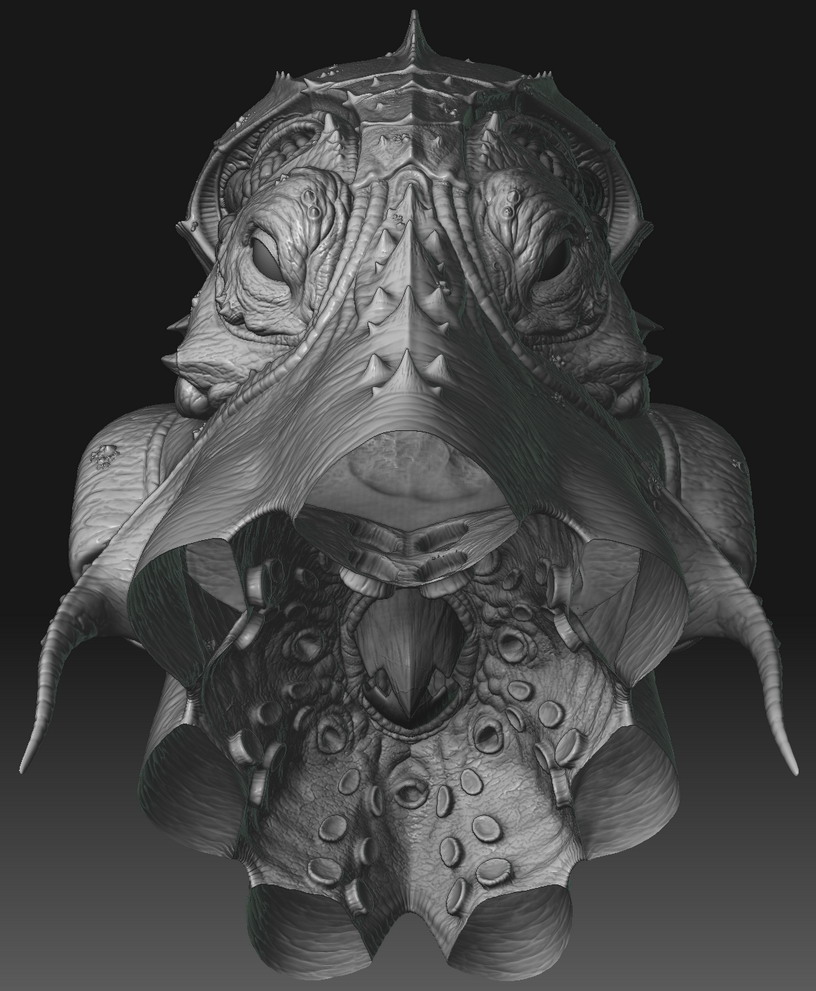 head_front_01.jpg