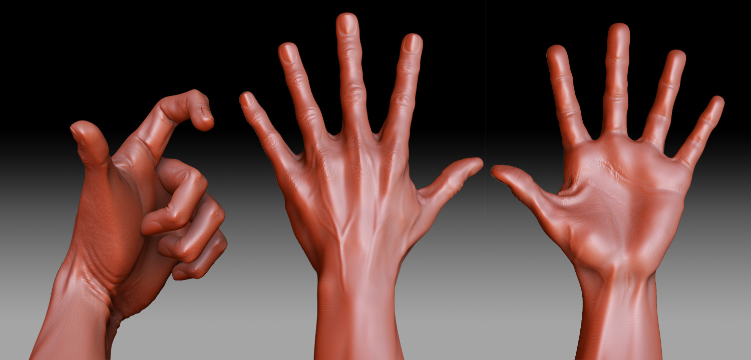 hand_study.jpg