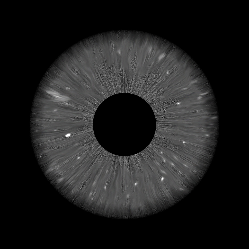 Cornea.jpg