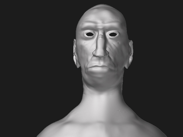 fronthead.jpg