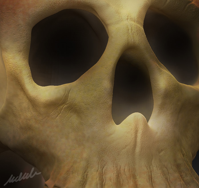 close_up.jpg