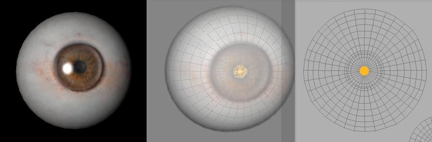 eye.jpg