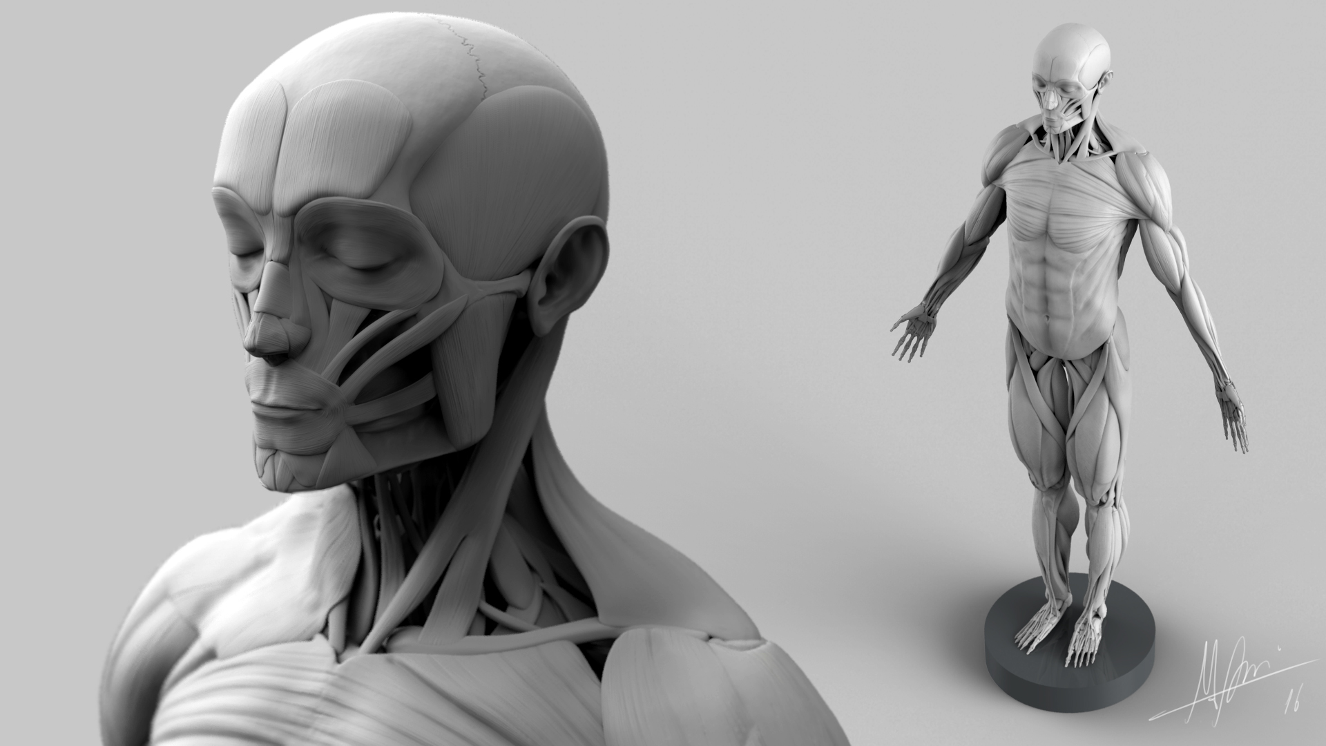 muscles-head.jpg
