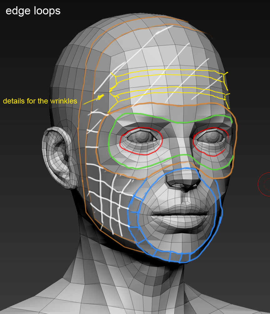 head_topology_Max_Uzkikh.jpg