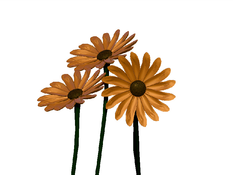 ZB_FLOWERS.jpg