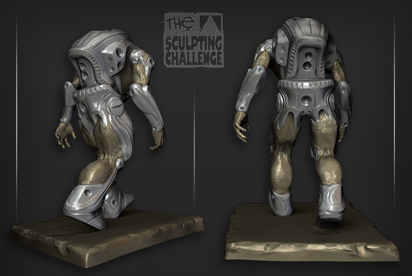 biomech_jrs03.jpg