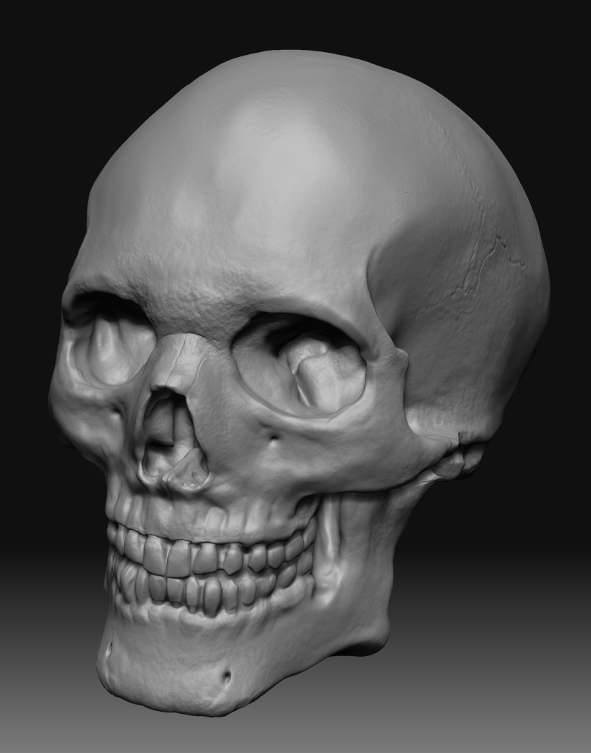 Skull_Free_Time.jpg
