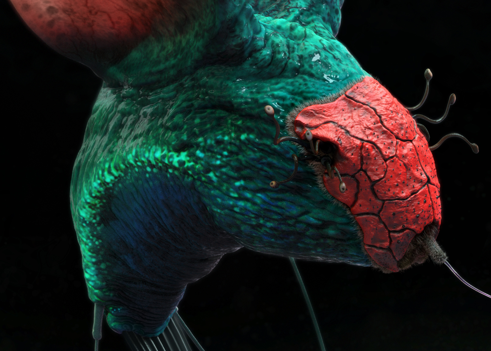 SPF_Final_03_TorsoCrop.jpg