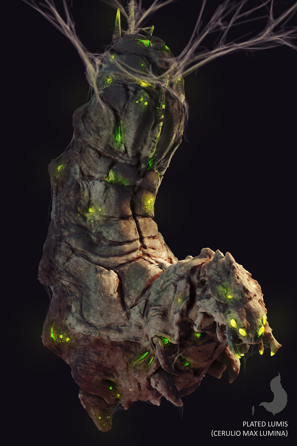 Plated Lumis.jpg