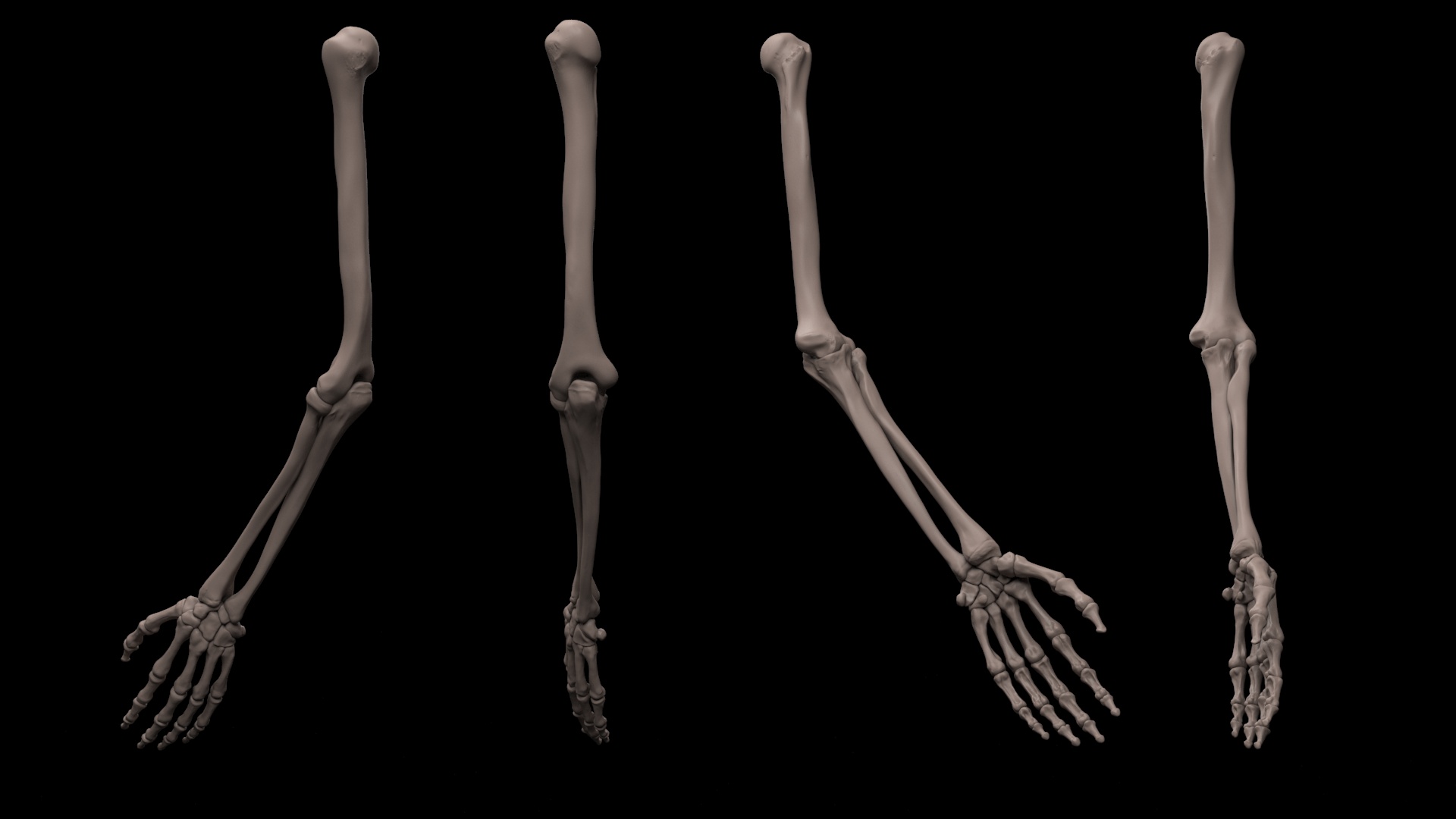 Arm_01.jpg