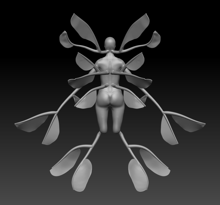 back.jpg