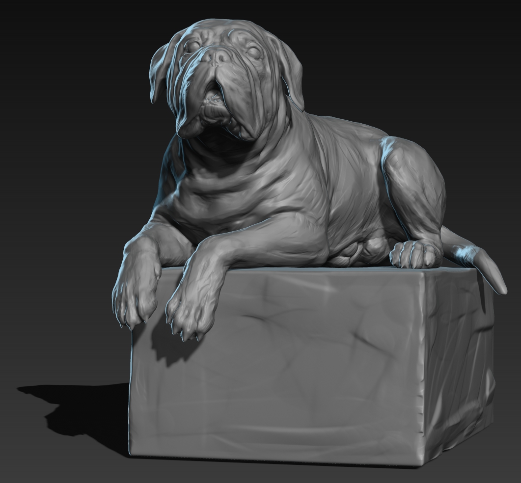 DOGUE_02.jpg