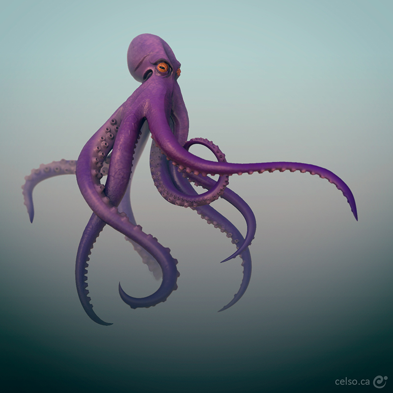 0008_octopus.jpg
