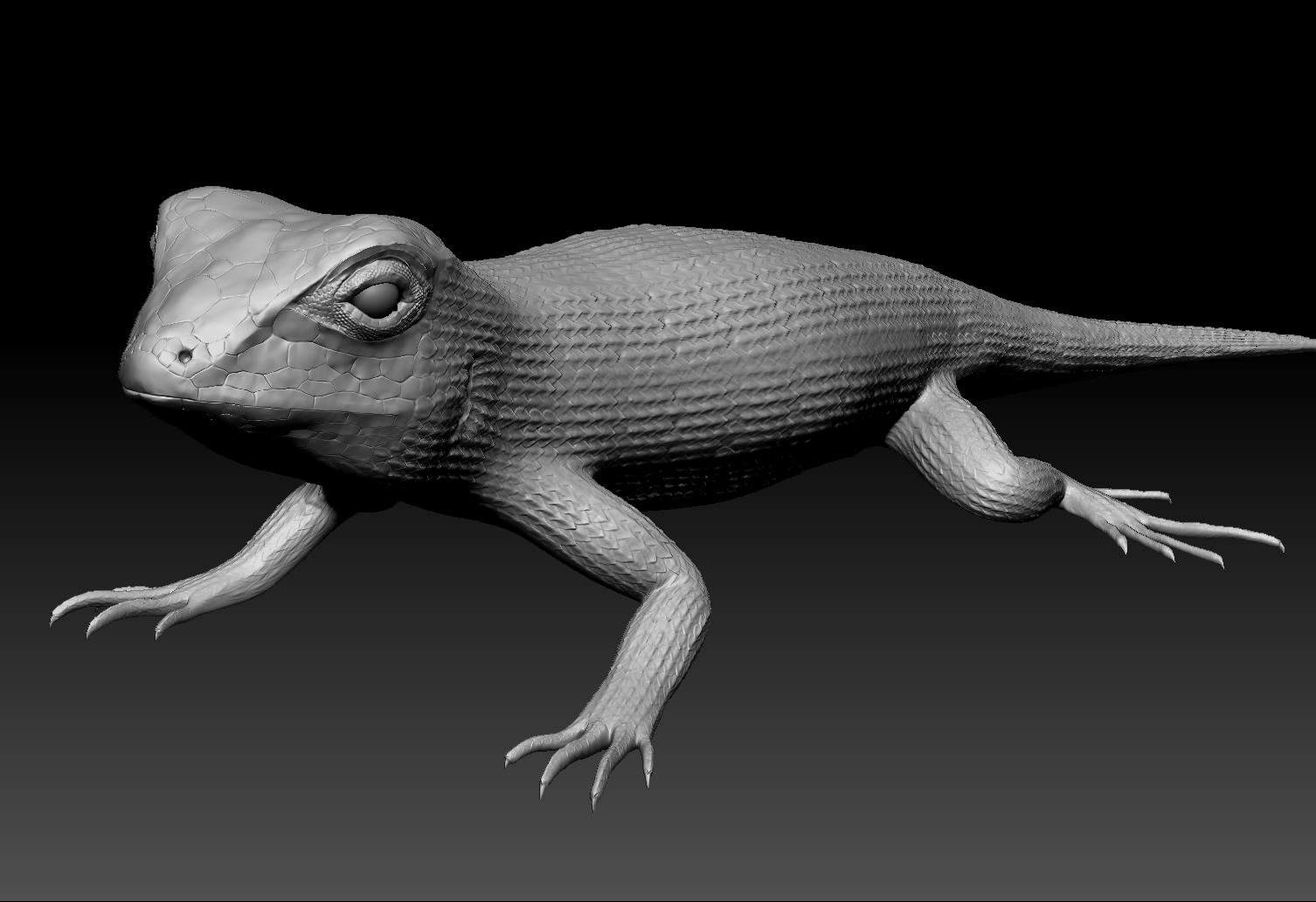 lizard zbrush