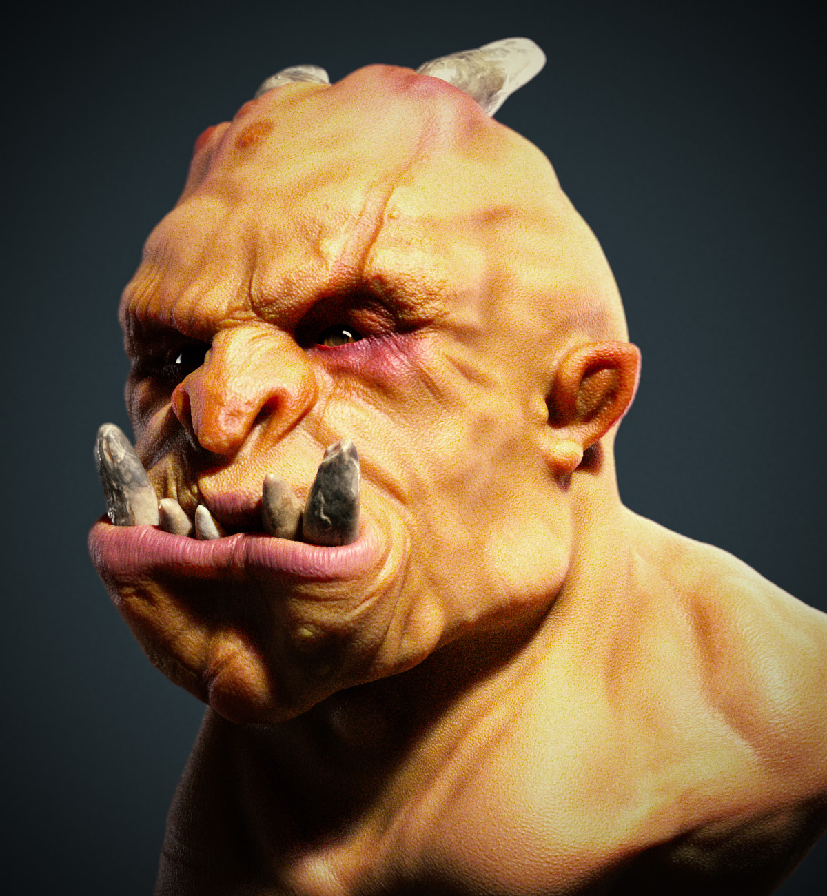 orc_v001_1.0001