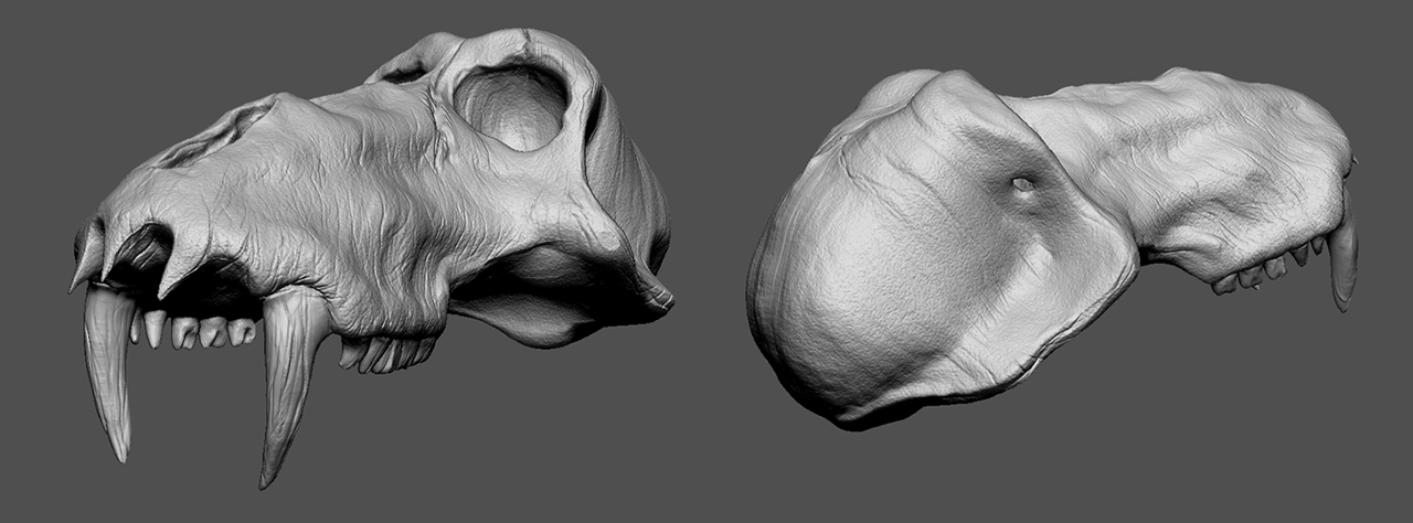 Zbrush_Perspective.jpg